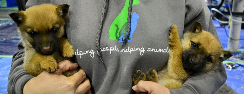 Canadian Animal Task Force