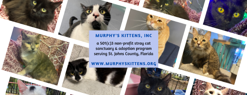 Murphy's Kittens, Inc. Florida