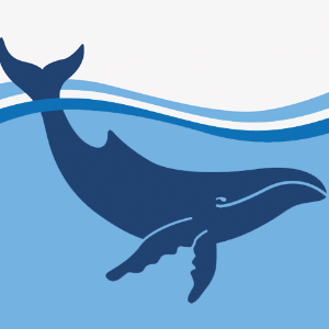 The Australian Marine Conservation Society Logo
