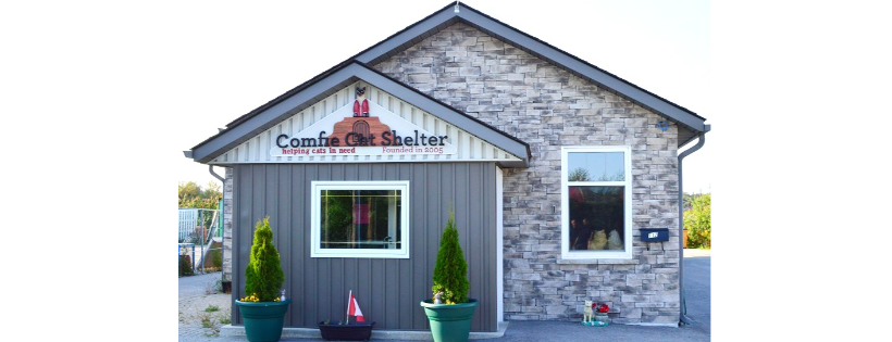 The Comfie Cat Shelter