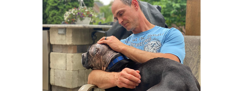 A Rejoyceful Animal Rescue