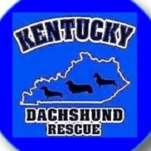 Kentucky Dachshund Rescue, Inc