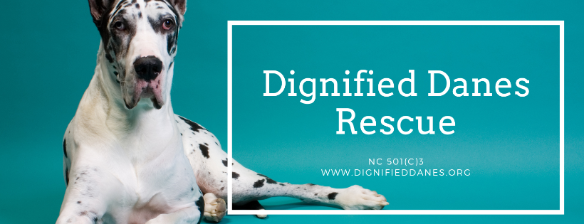 Dignified Danes Rescue