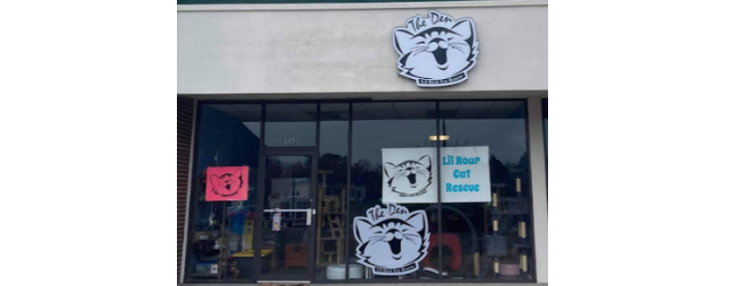 Lil Roar Cat Rescue