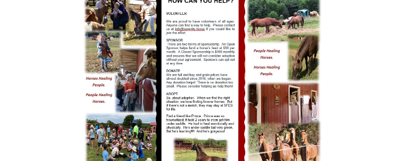 Serenity Farm Equine Sanctuary