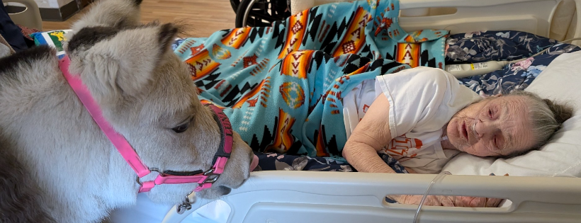 Kindhearted Mini Therapy