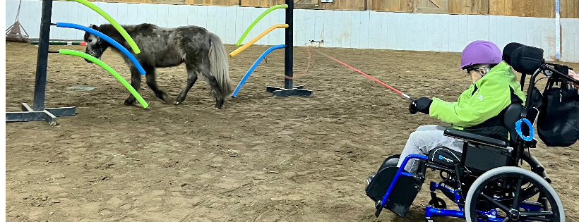 Flying Free Therapeutic Riding Center, Inc.