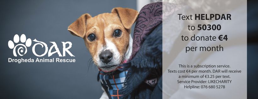Drogheda Animal Rescue