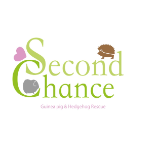 Second chance guinea pig/Hedgehog rescue