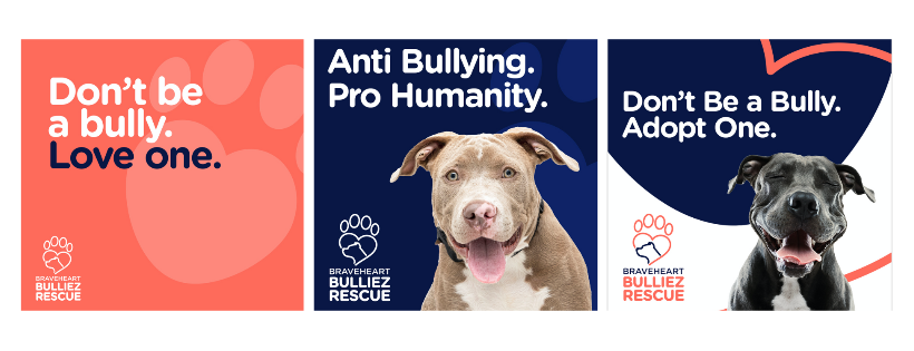 Braveheart Bulliez Rescue