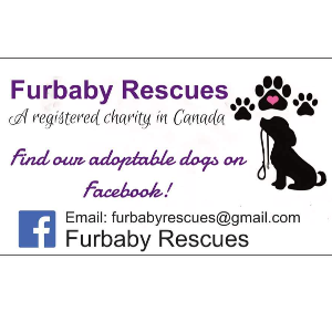 FurBaby Rescues