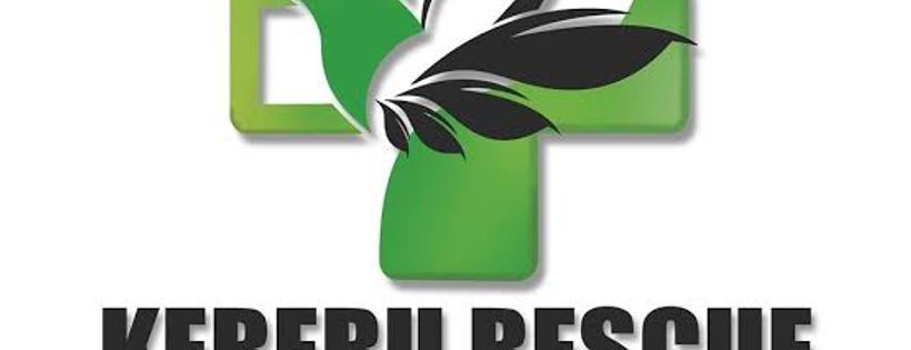 Lower Hutt Kereru Rescue