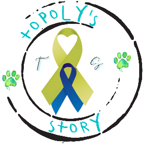 Topoly's Story Inc.