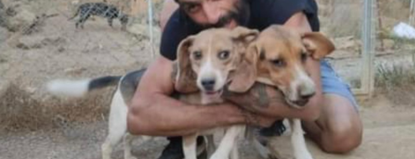 Bronx Familia Animal Shelter