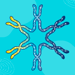 Team Telomere, Inc. Logo