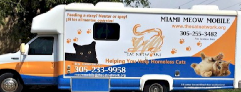 The Cat Network, Inc.
