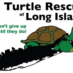 Turtle Rescue of Long Island Logo