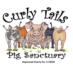 Curly Tails Ltd Logo
