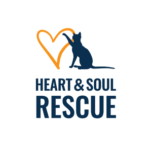 Heart and Soul Rescue Logo