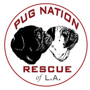 Pug Nation Rescue of Los Angeles Logo