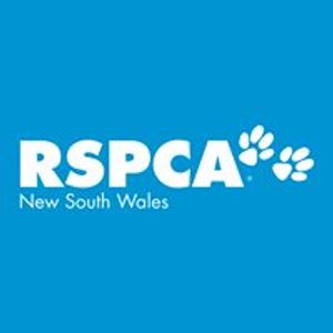 RSPCA NSW