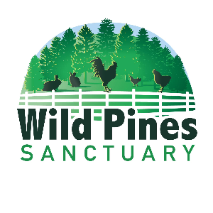 Wild Pines Sanctuary Logo
