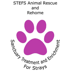 Stefs animal rescue and rehome Durham