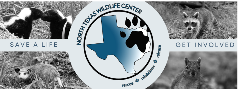 North Texas Wildlife Center