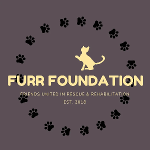 Angels with Paws/FURR Foundation Logo