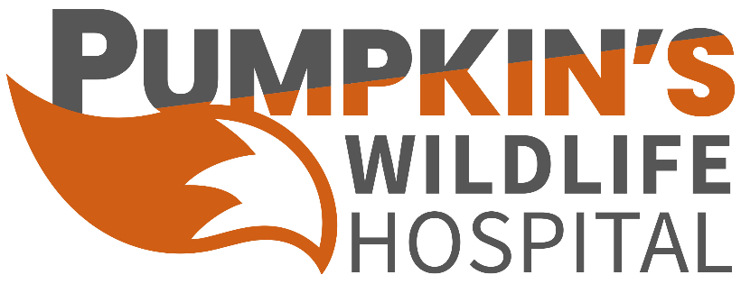 Pumpkins Wildlife Hospital & Rehabilitation Centre