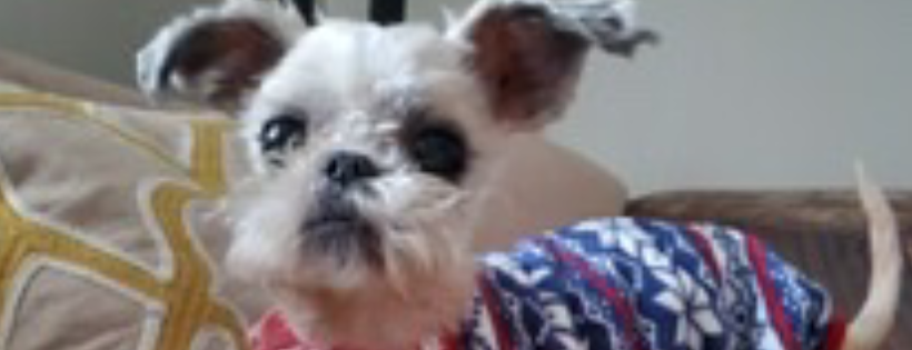 Remembering Ruthie Rescue