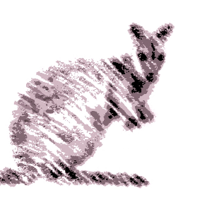Friends of the Brush-Tailed Rock-Wallaby Inc.