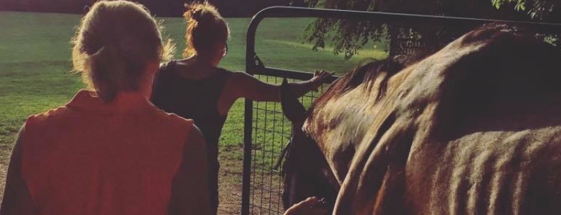 Nalani Horse Rescue