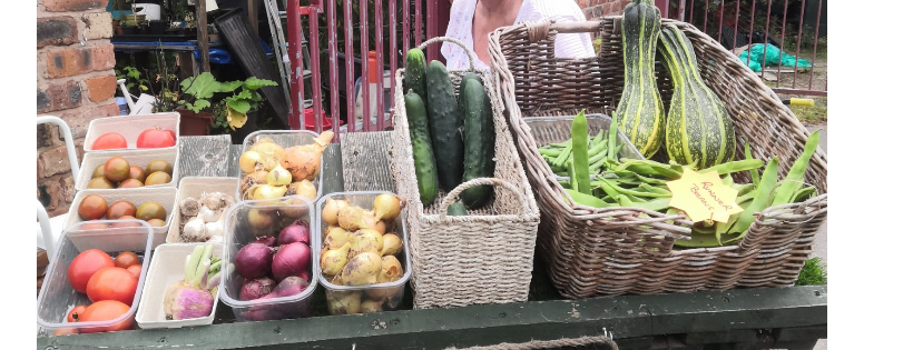 Whitby Park Community Garden