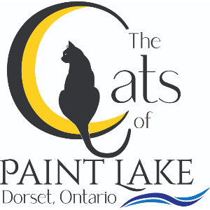 The Cats of Paint Lake