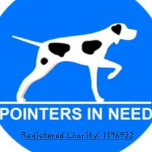 POINTERS IN NEED Logo