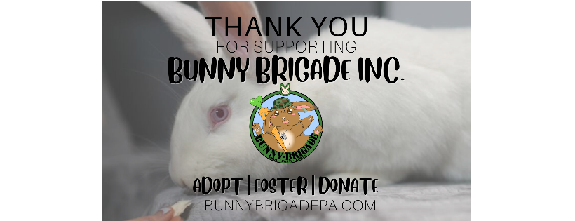 Bunny Brigade Inc.