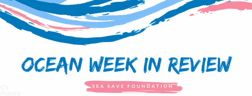 Sea Save Foundation
