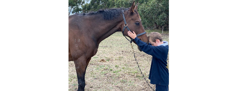 Racing Hearts Therapy Inc