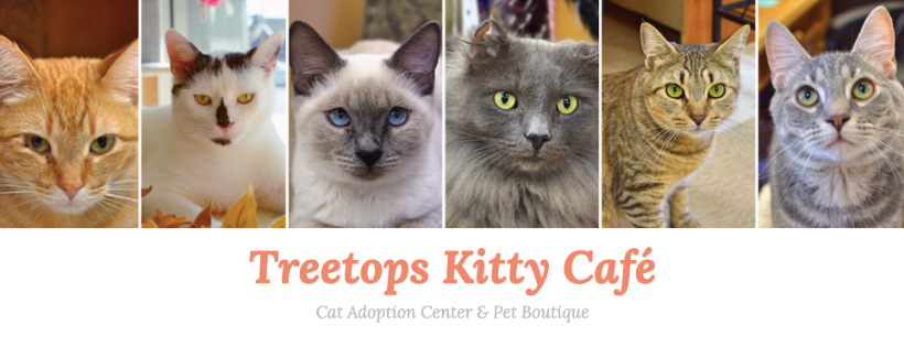 TreeTops Animal Rescue
