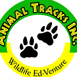 Animal Tracks Logo