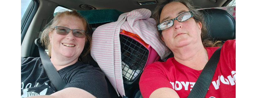 Rio Linda Feral Help Group