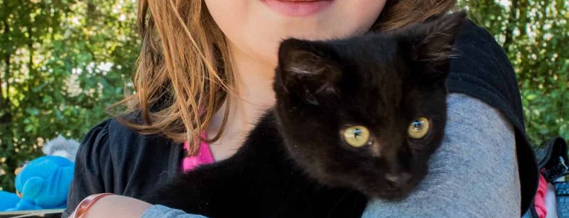 Southern Tas Cat Rescue Inc