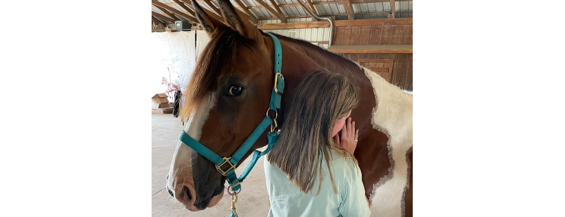 Equine Reflections, Inc.