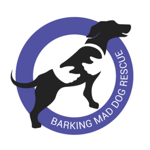 Barking Mad Dog Rescue