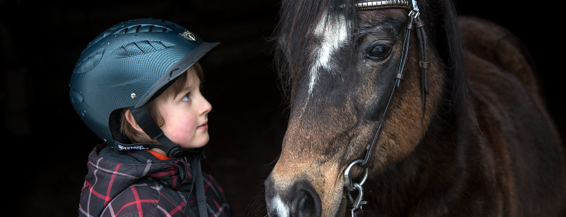 The Comox Valley Therapeutic Riding Society