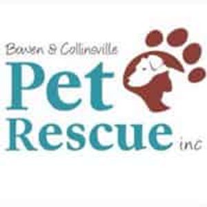 Bowen Collinsville Pet Rescue Inc Logo