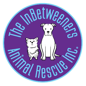 The Inbetweeners Animal Rescue