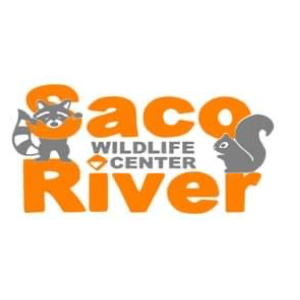 Saco River Wildlife Center Logo