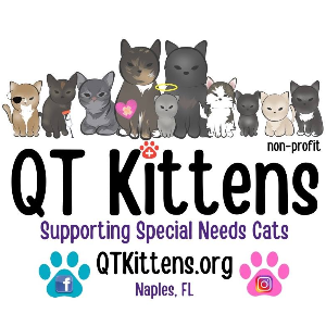 QTKittens